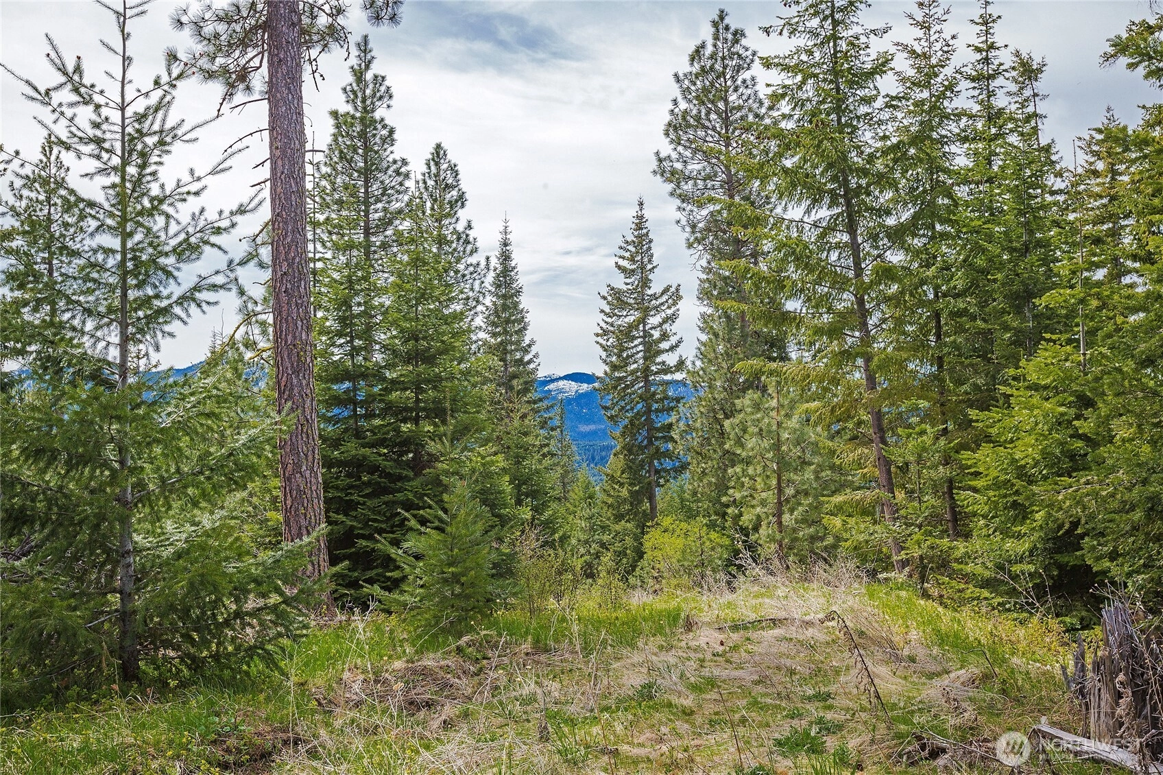 0 Lot H R&r Heights Drive Unit  Roslyn WA 98941