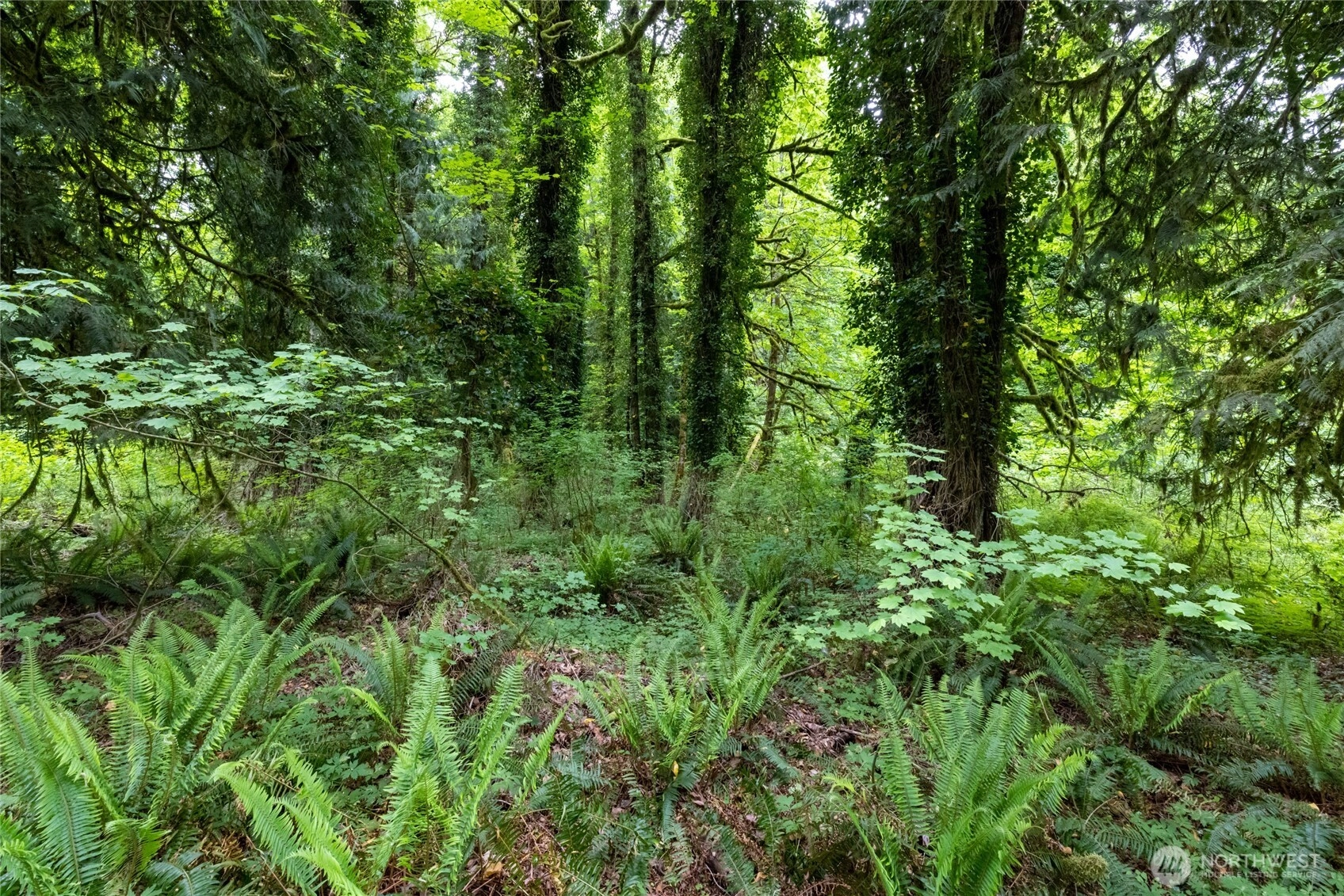 24118 177th St E Orting WA 98360