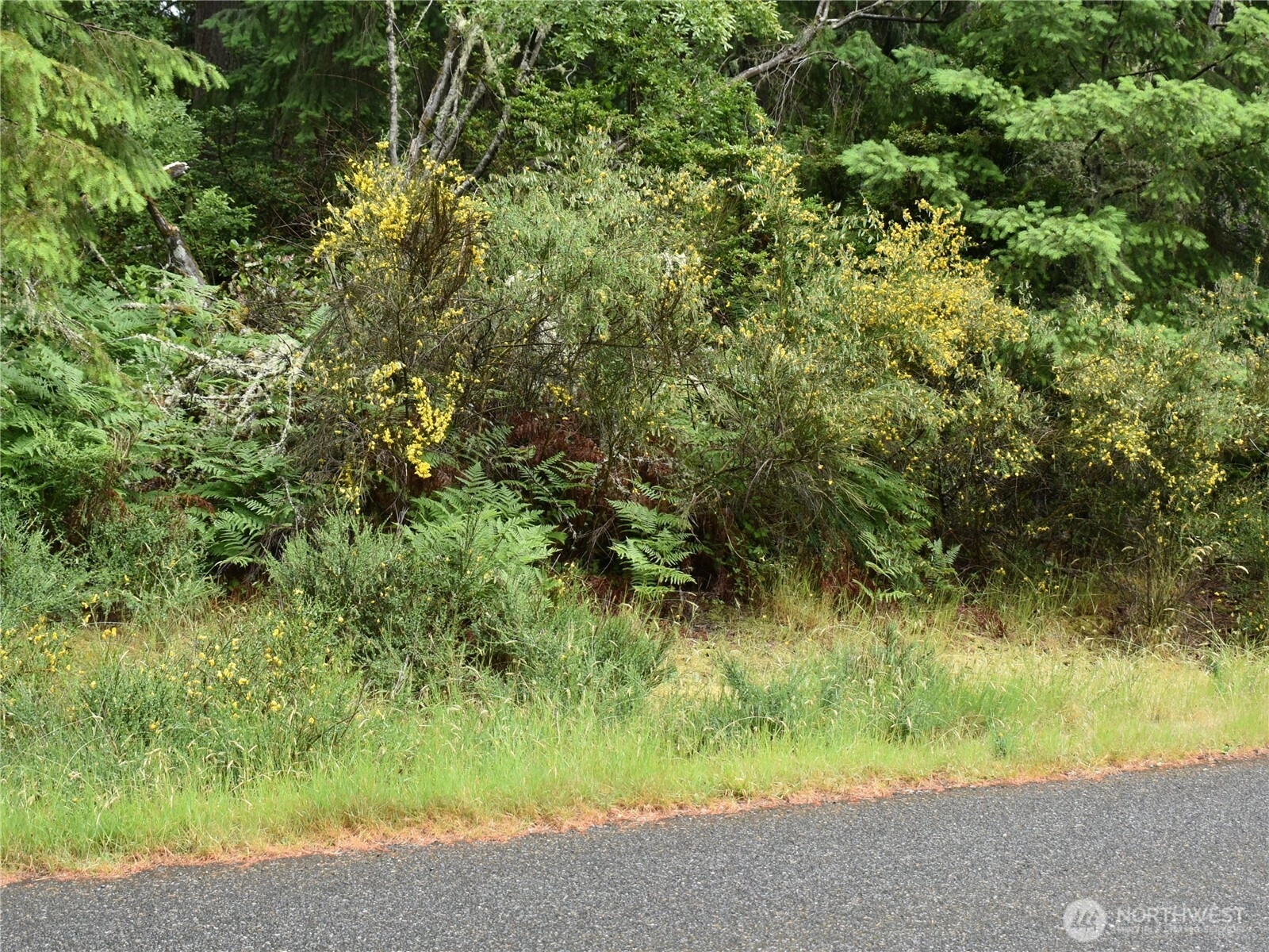 10921 Pioneer Dr Anderson Island WA 98303