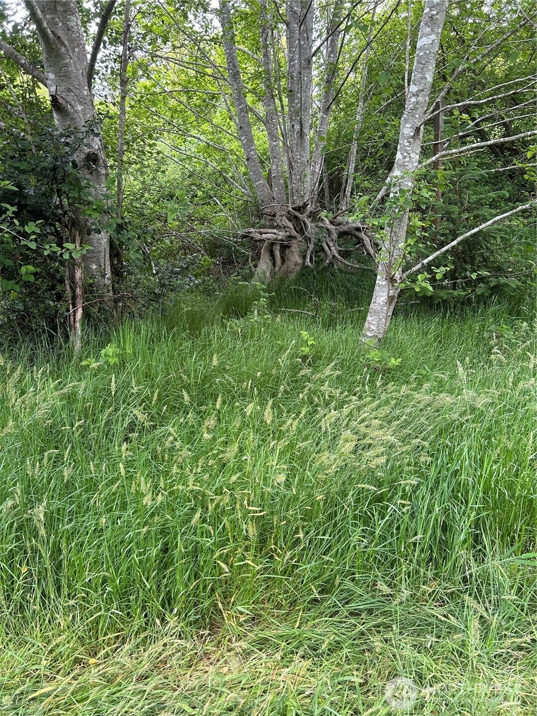 14 Xxx 33 Pl E Seaview WA 98644