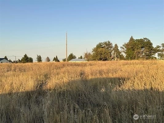 0 Lot 1 Main St Unit Block Unit Block Malden WA 99149