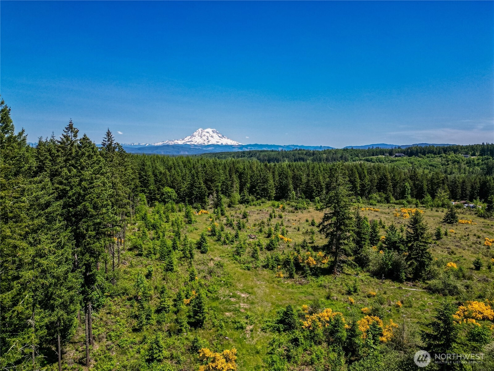 39507 18th Ave E Unit  Roy WA 98580