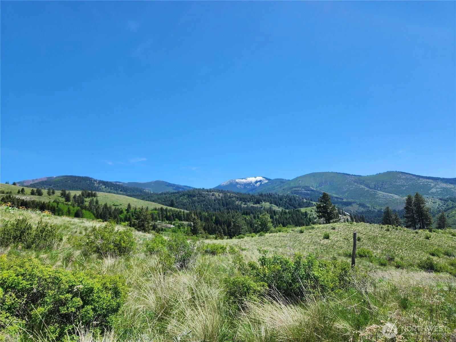 12 Dignity Ranch Rd Unit  Malo WA 99150