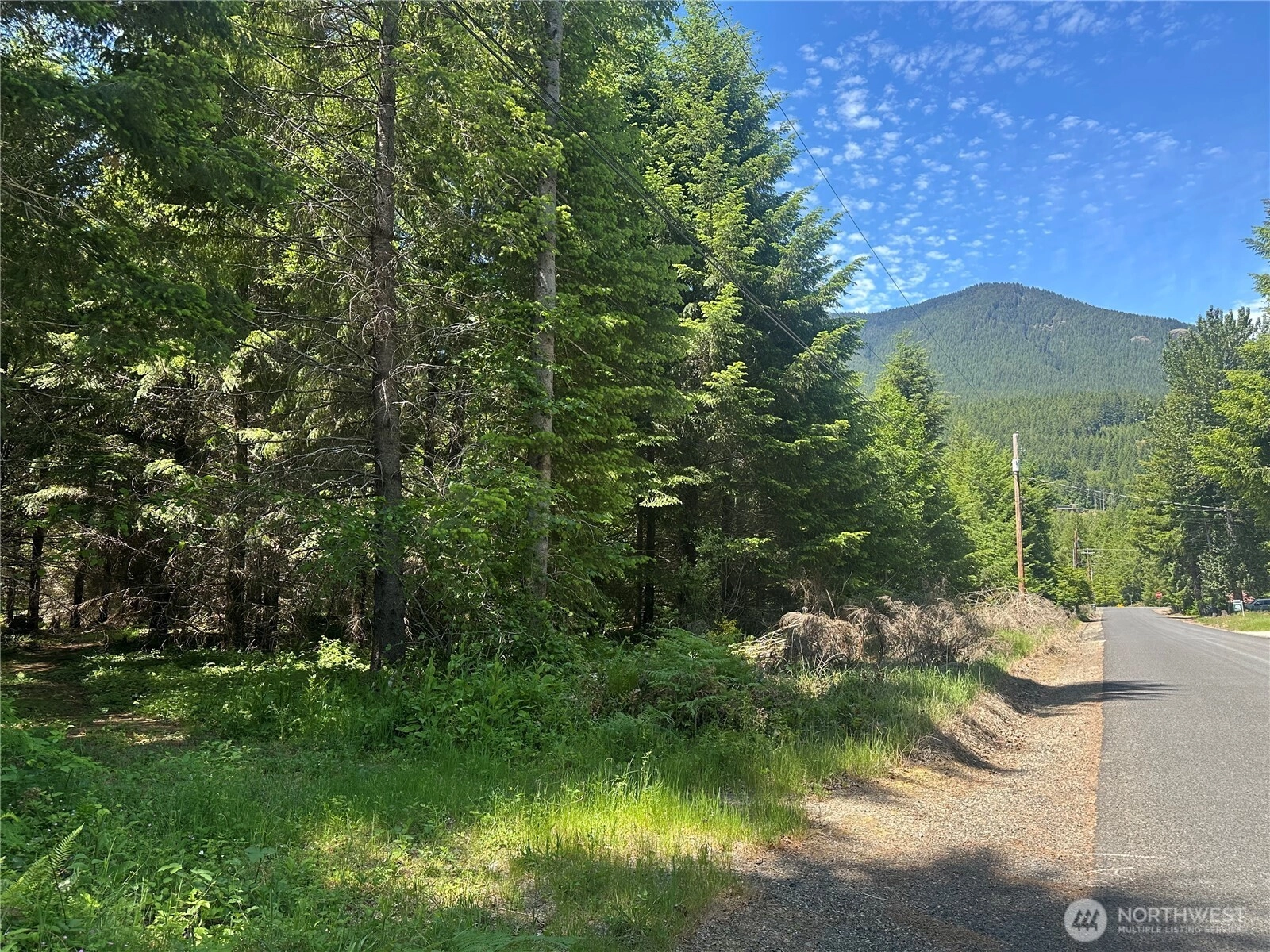 124 Cottonwood Ln Packwood WA 98361