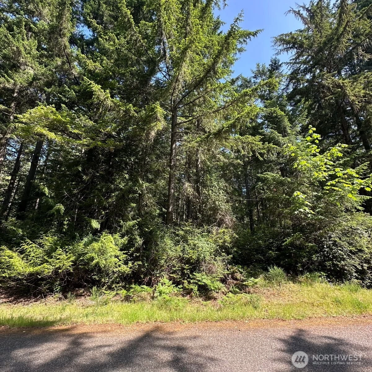 11311 115th St Anderson Island WA 98303
