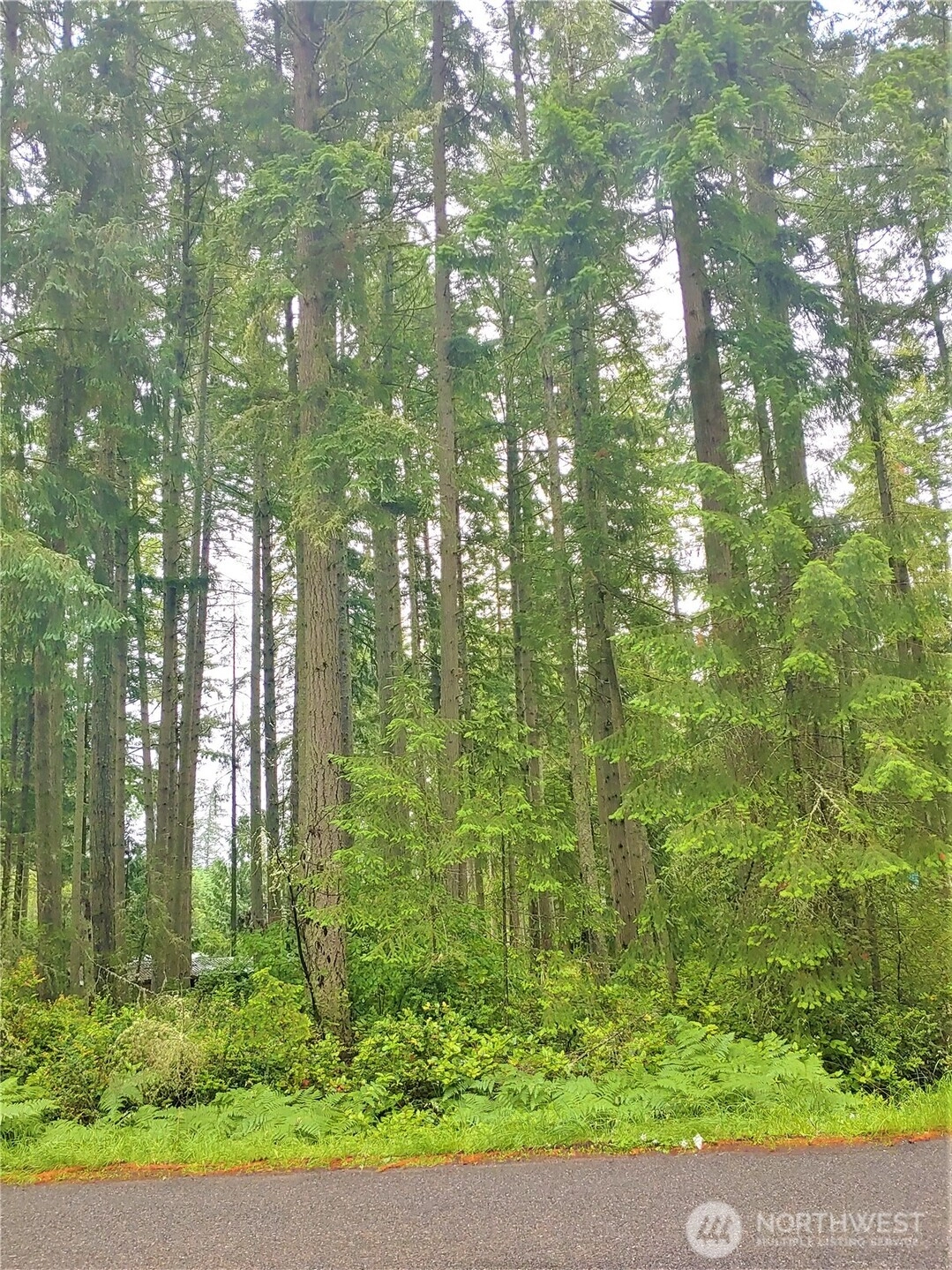 10014 Edgewood Dr Unit  Anderson Island WA 98303