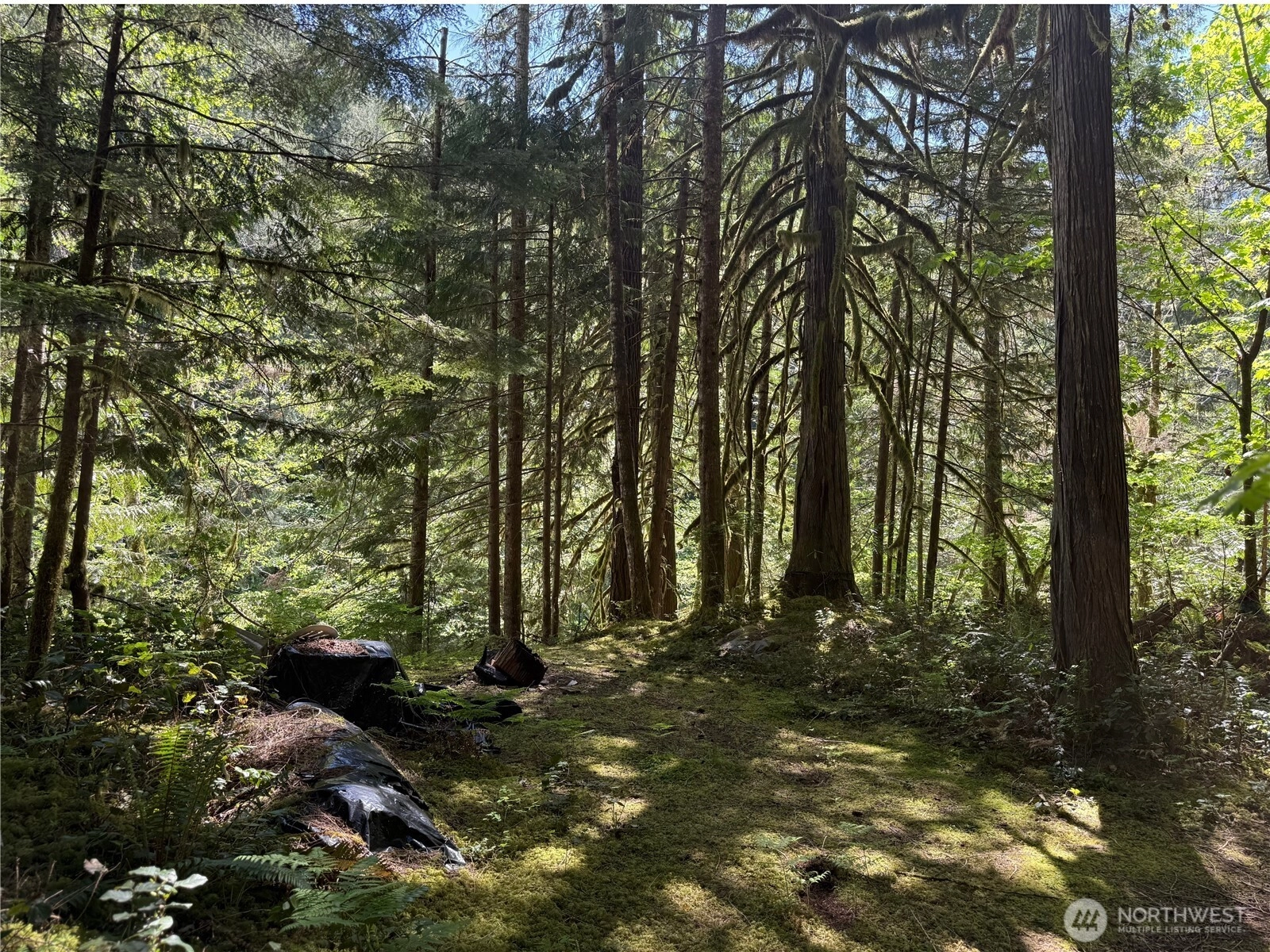 0 L 139 E Cascade Dr Marblemount WA 98267