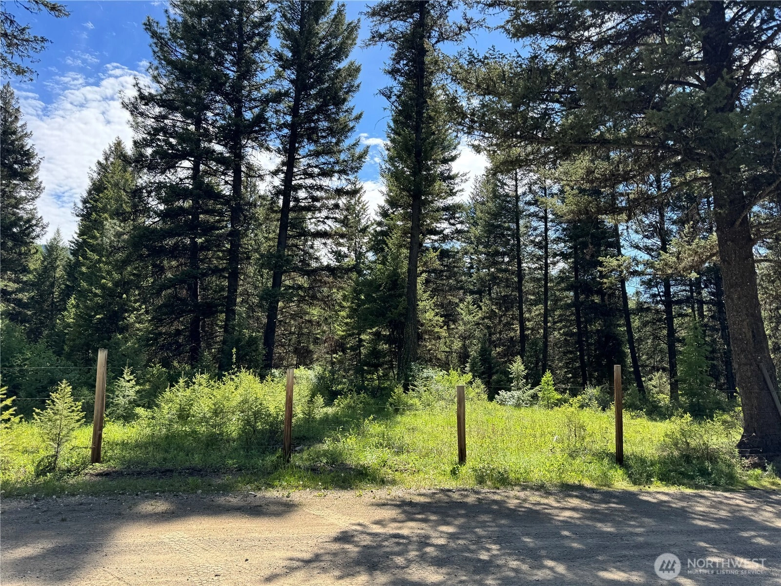 1 XXX Hawkeye Ln Republic WA 99166