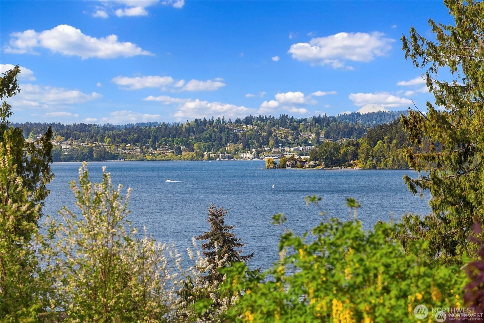 10762 Exeter Ave NE Unit  Seattle WA 98125