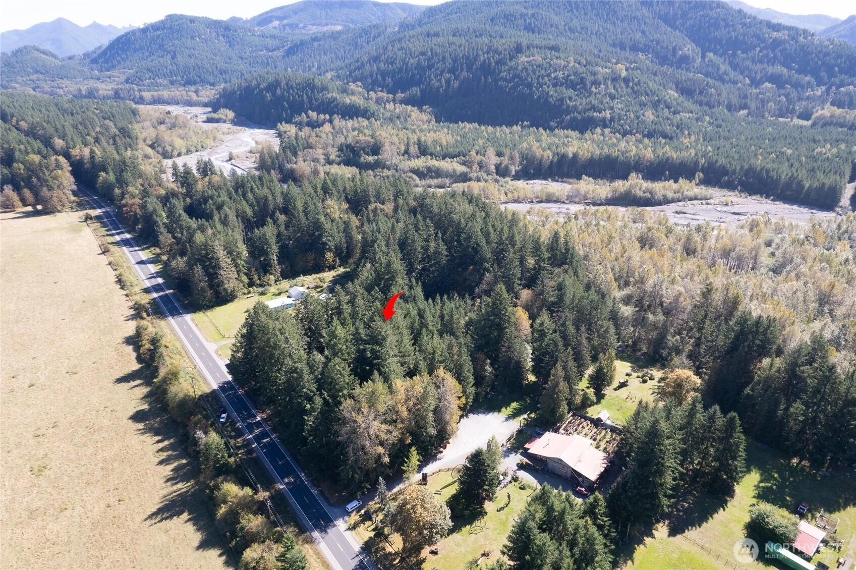 22506 State Route 706 E Ashford WA 98304
