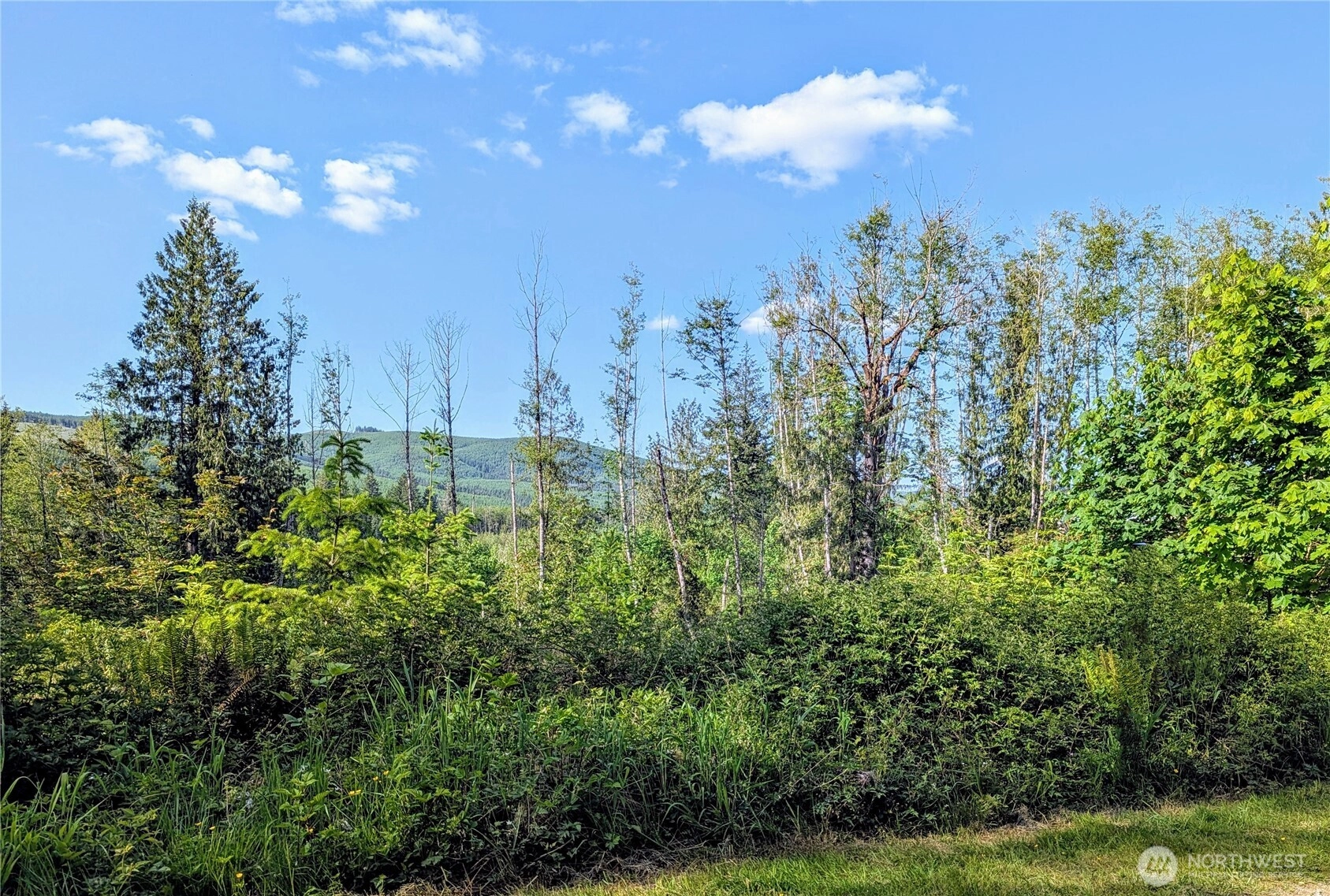 267 Wildcat Rd Toutle WA 98649