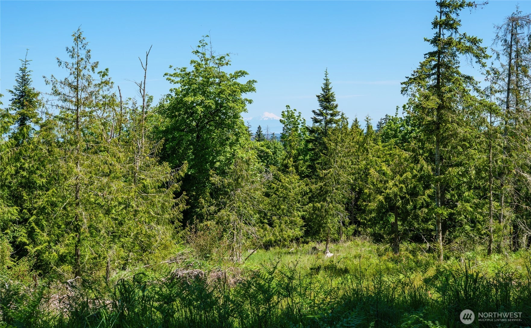 Little Loop Dr Unit  Port Angeles WA 98362