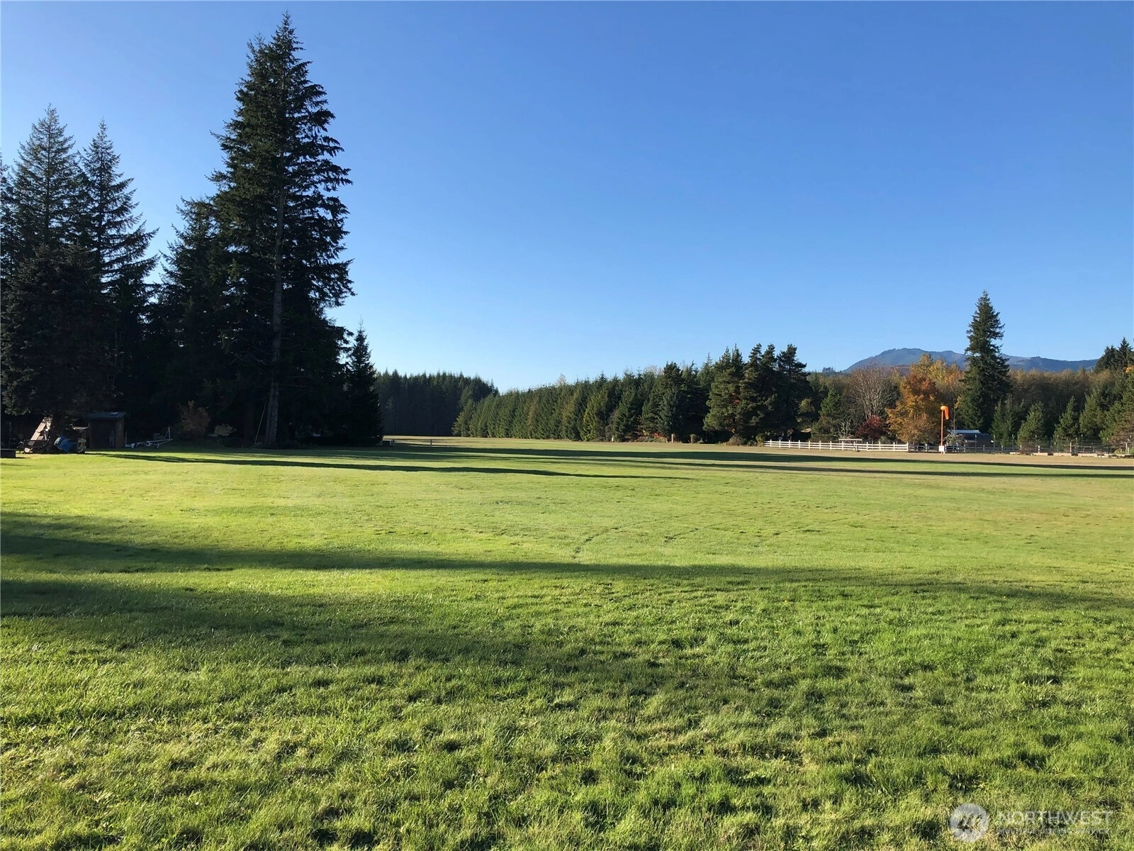 Shelton Rd Randle WA 98377