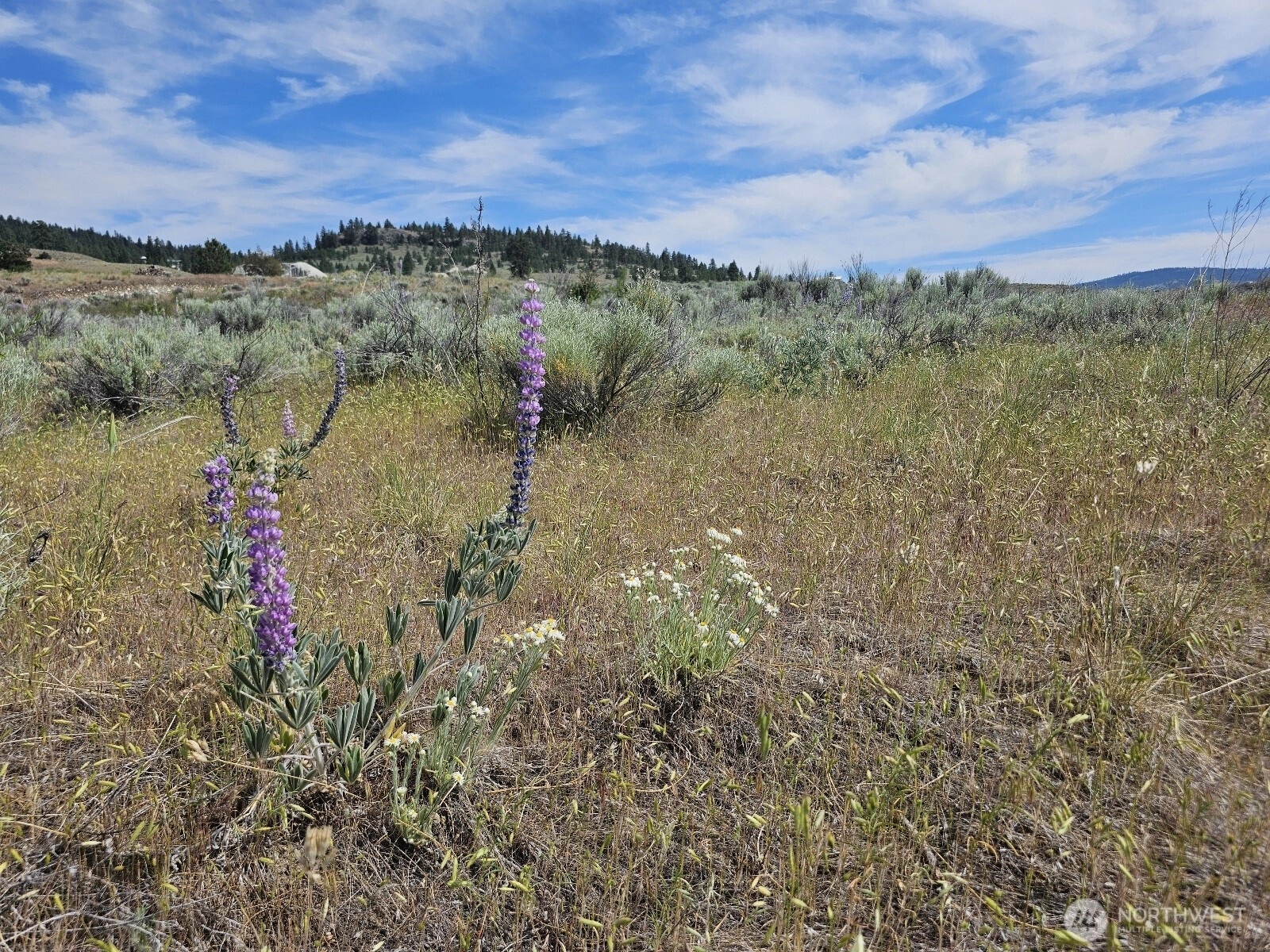 716 x Havillah Rd Tonasket WA 98855
