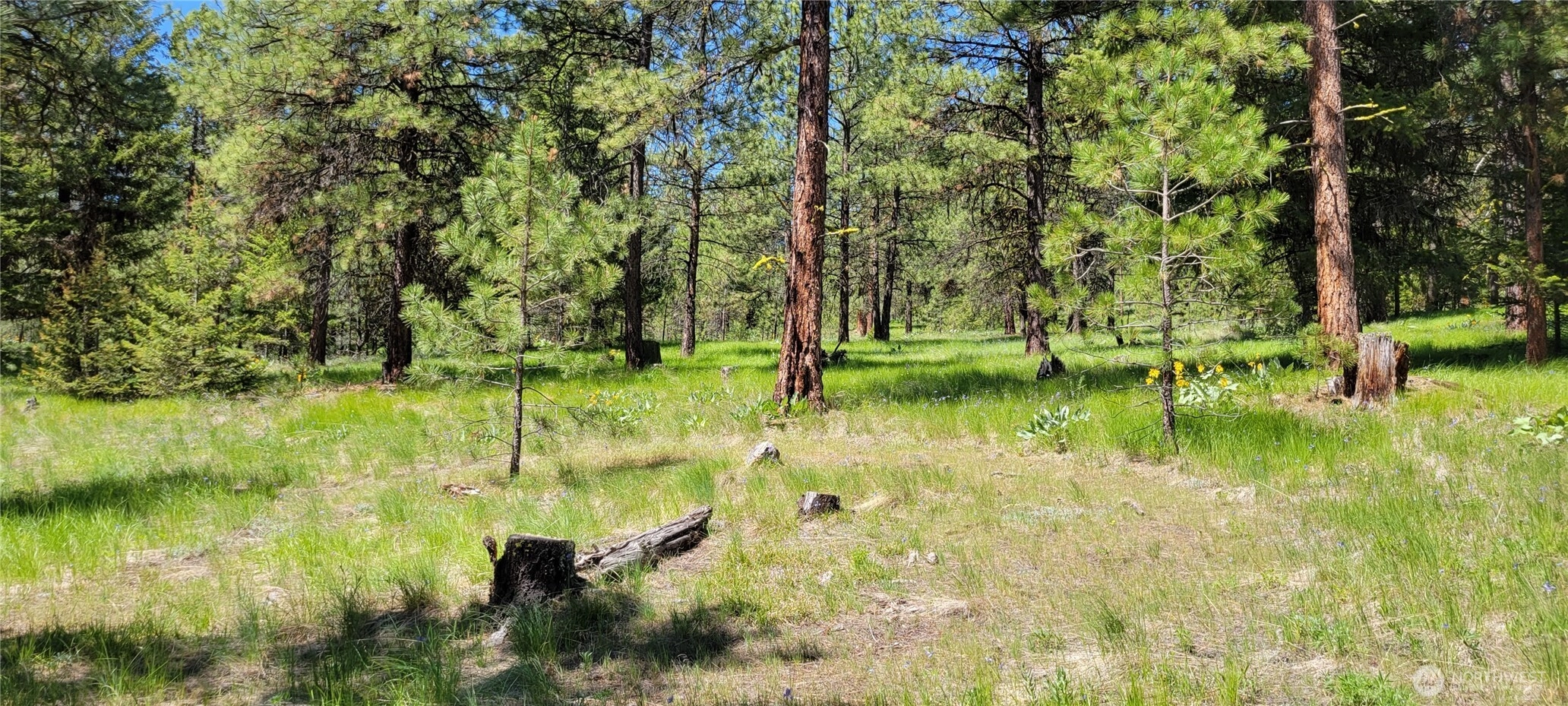 374 Bench Creek Rd Unit  Tonasket WA 98855