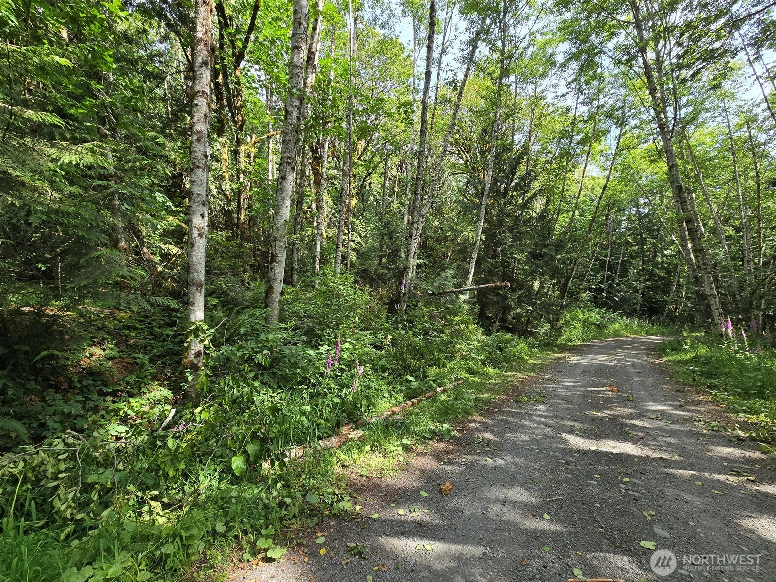 0 XXX Triton Heights Rd Lilliwaup WA 98555