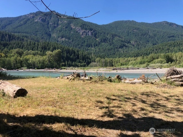 182 Burton Creek Rd Randle WA 98377