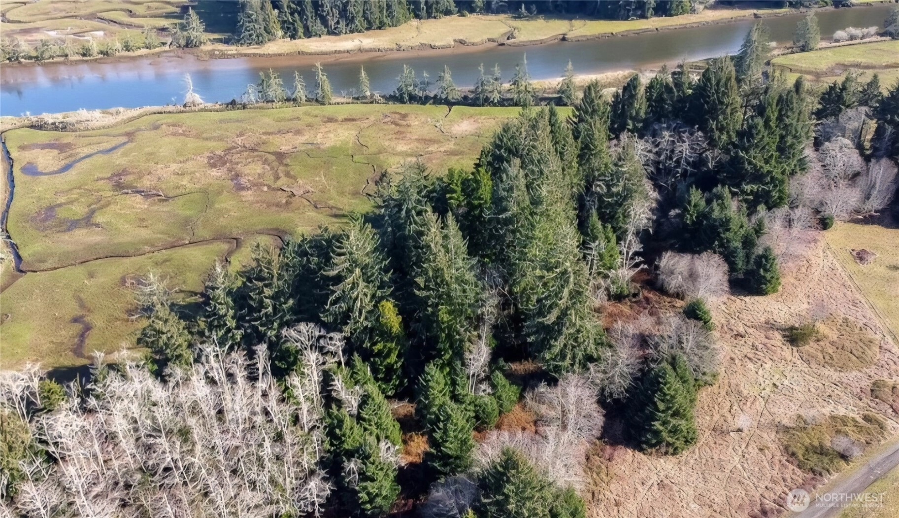 0 XXX Palix Ln South Bend WA 98596
