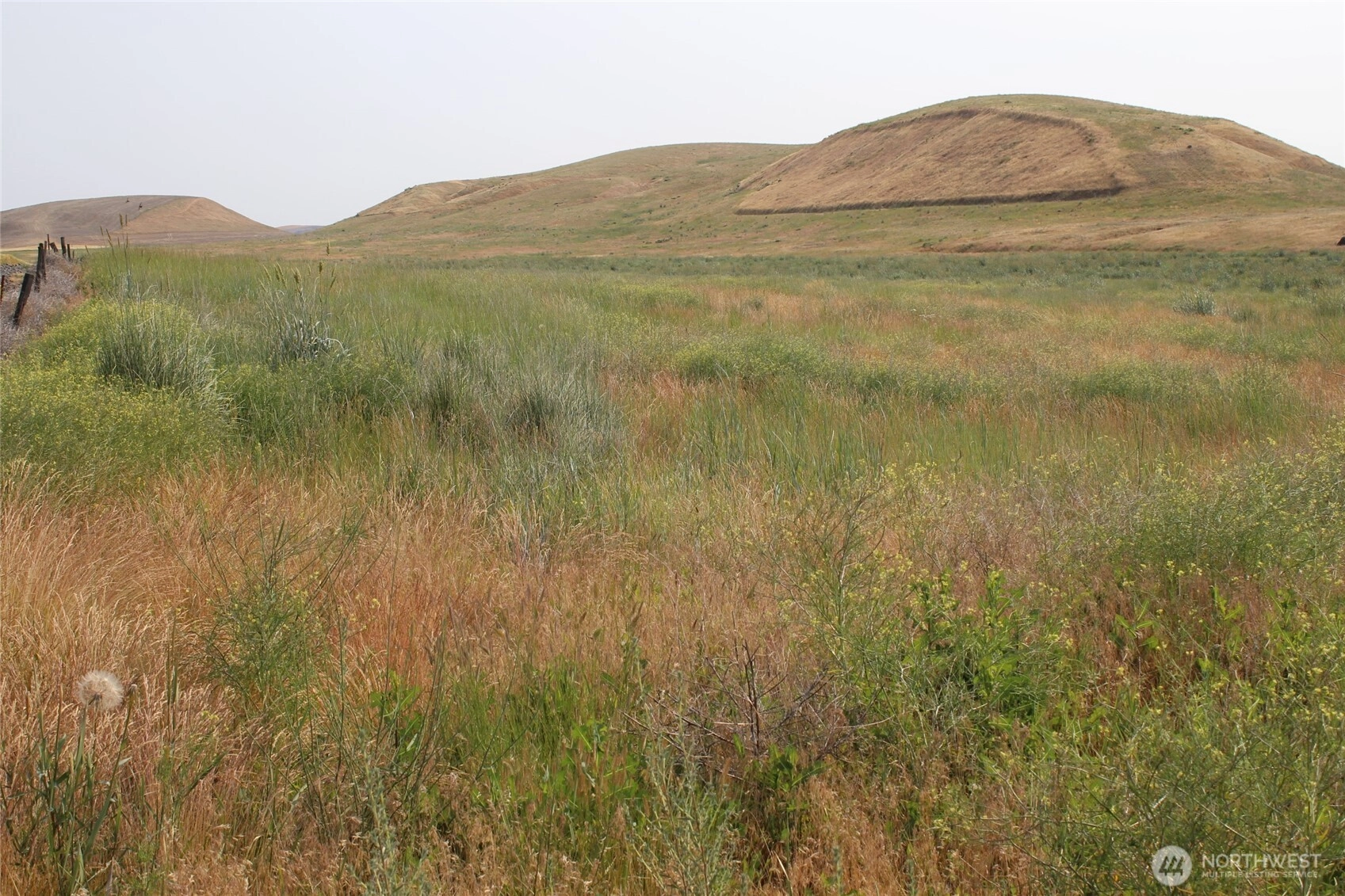 Allert Rd Washtucna WA 99371