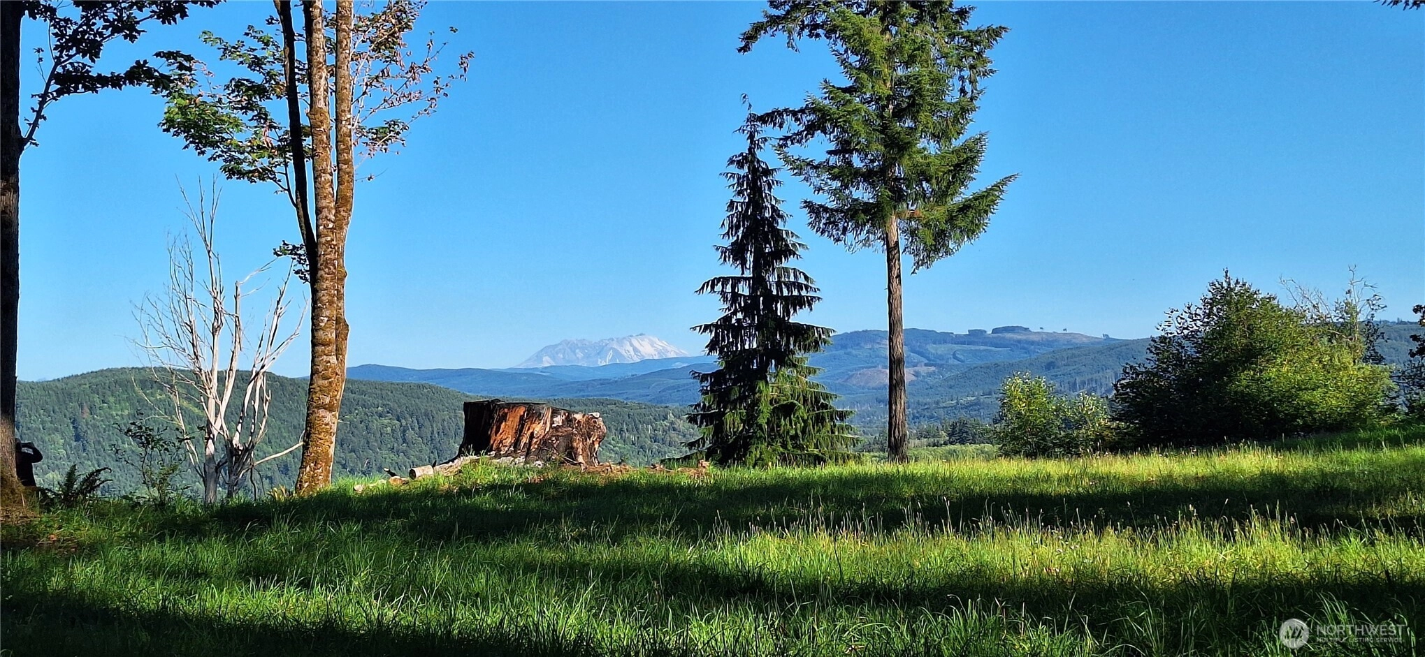 132 Salem Plant Rd Silver Creek WA 98585