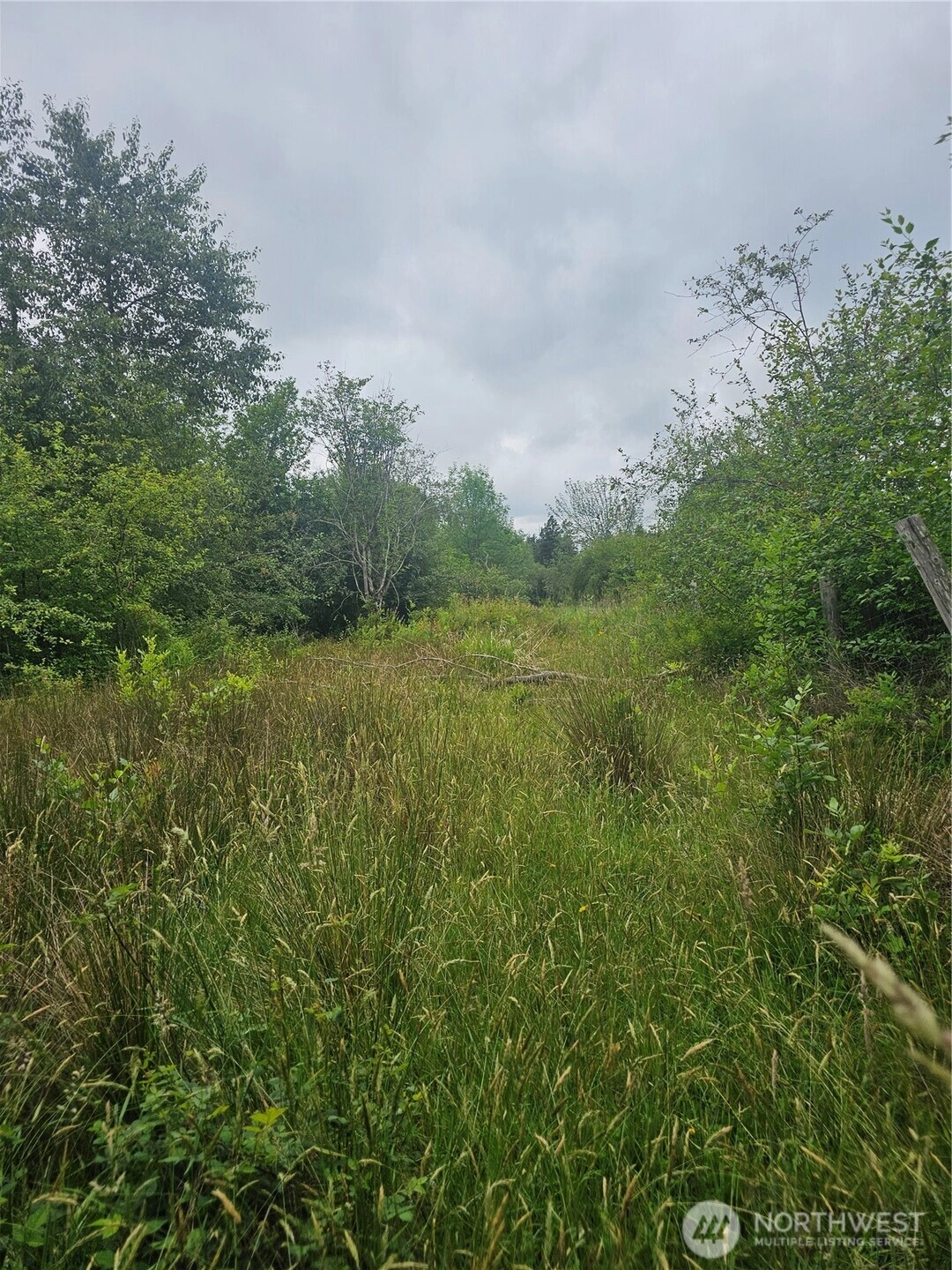565 Oyler Rd Ethel WA 98542