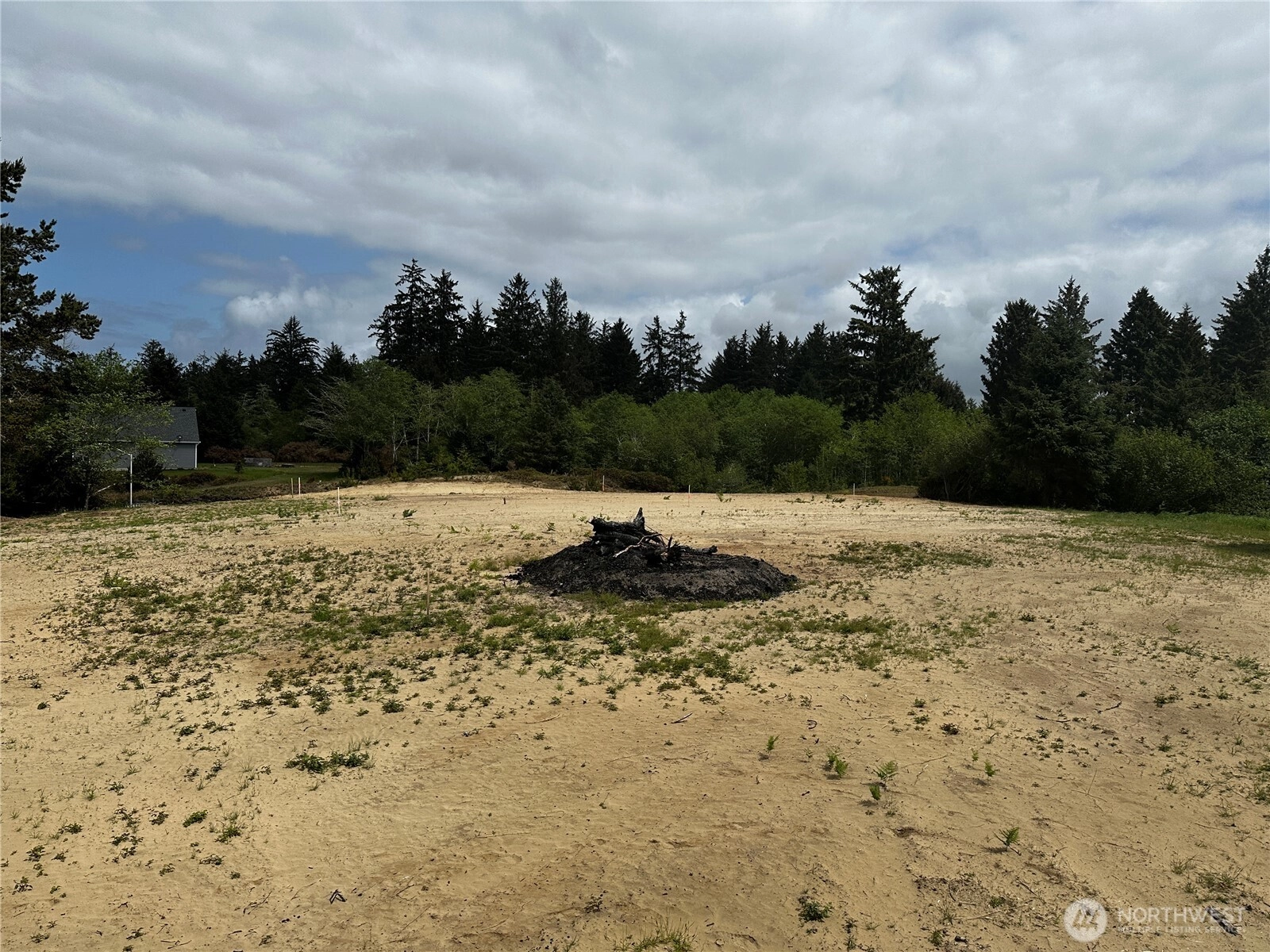 31104 Sandridge Rd Oysterville WA 98640