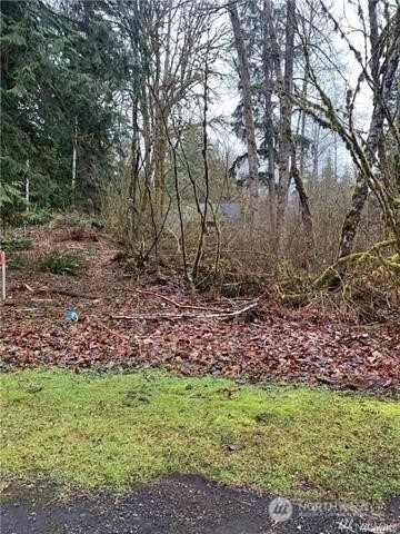 16007 Shuksan Rim Dr Unit  Glacier WA 98244
