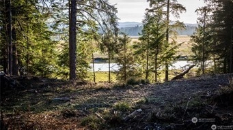 46 Lynn Point Ln South Bend WA 98586