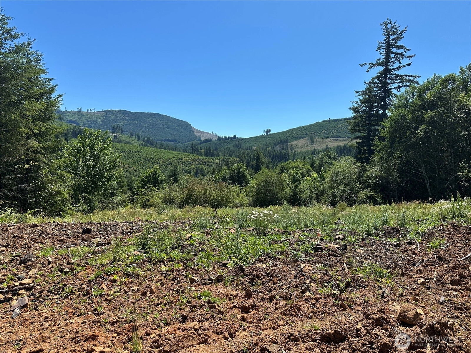 Kalama River Rd Unit  Kalama WA 98625