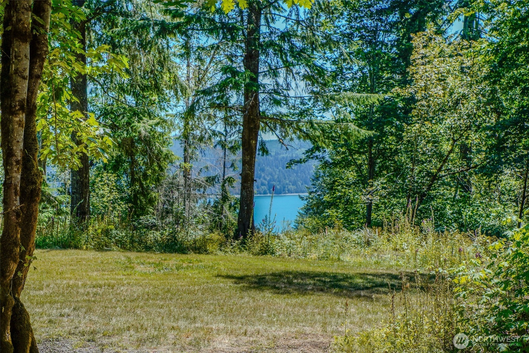 N Will Webb Rd Unit  Lilliwaup WA 98555