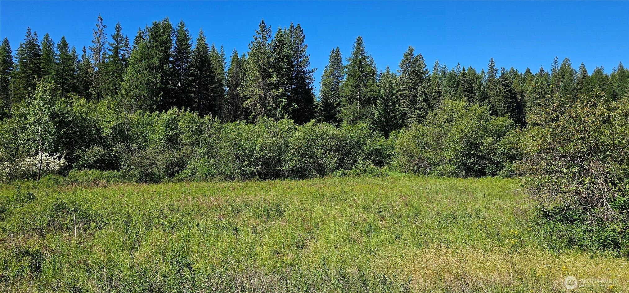5 XXX Olinger Rd Springdale WA 99173