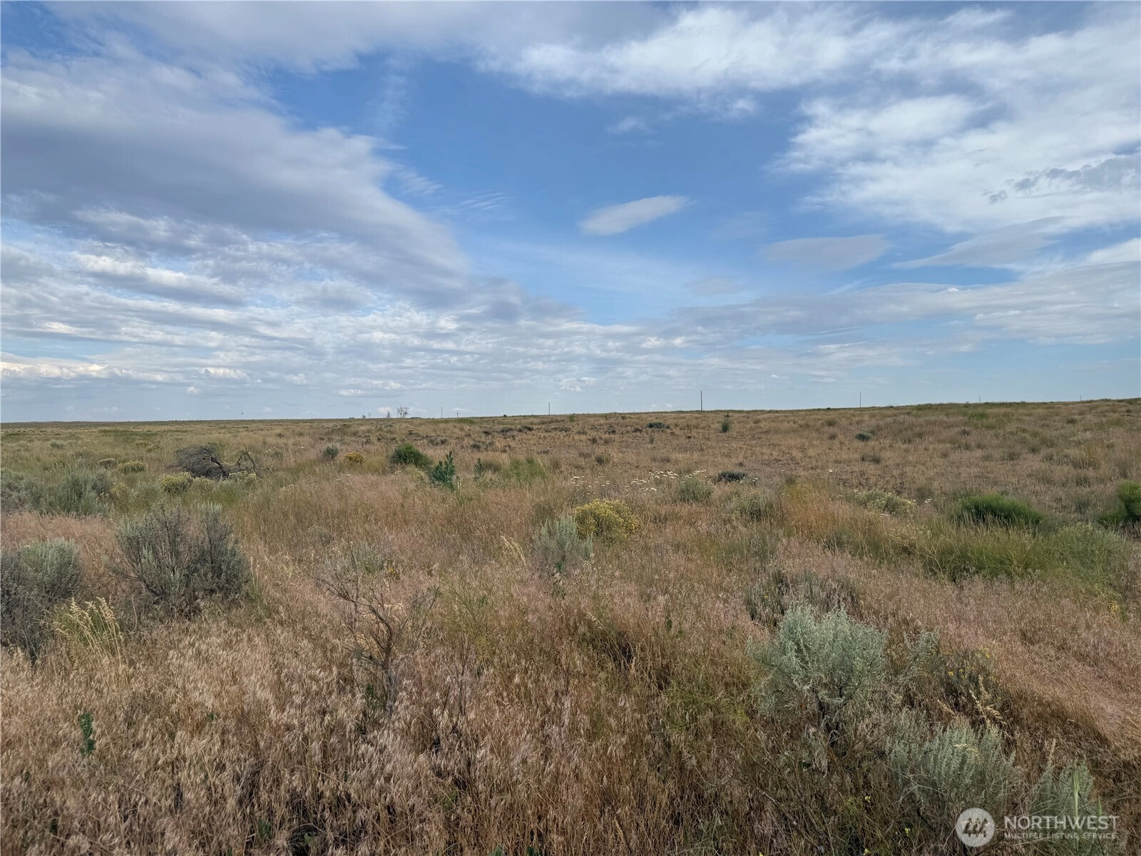 Black Rock & Lessor Rd Odessa WA 99159