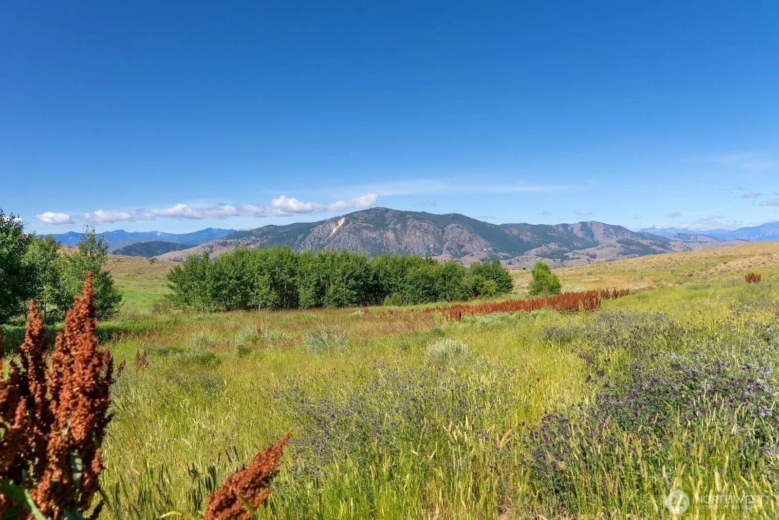 121 Finley Canyon Rd Unit  Twisp WA 98856