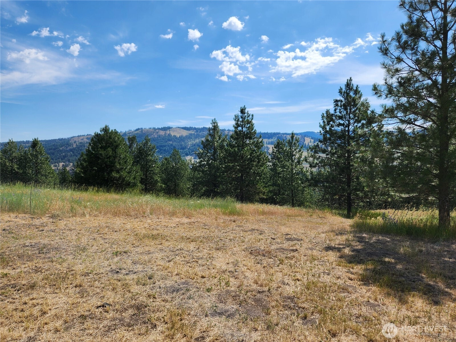 4 Meadow Lark Ln Unit  Republic WA 99166