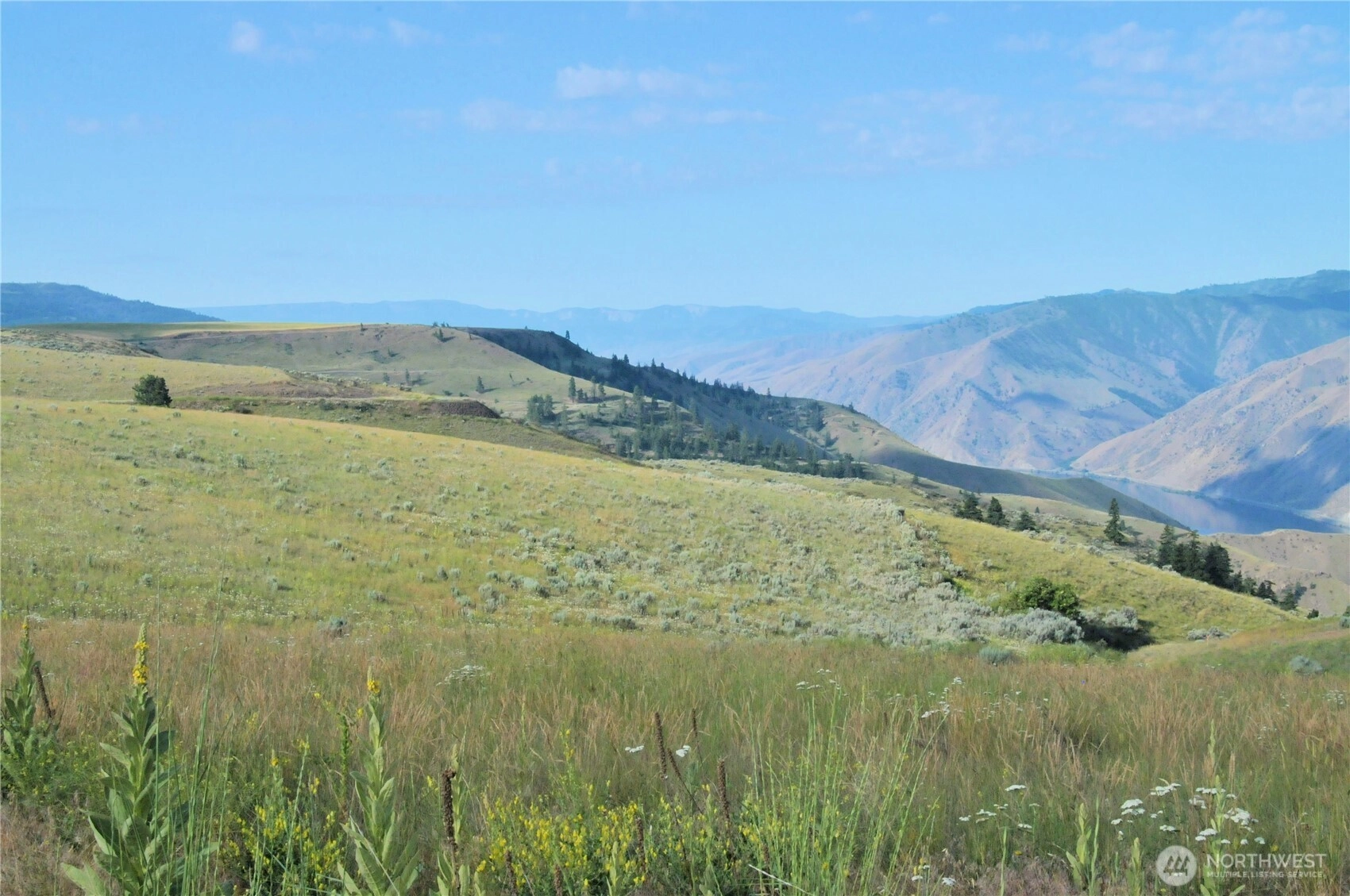 Road South Nw Tract #3 Unit  Waterville WA 98858