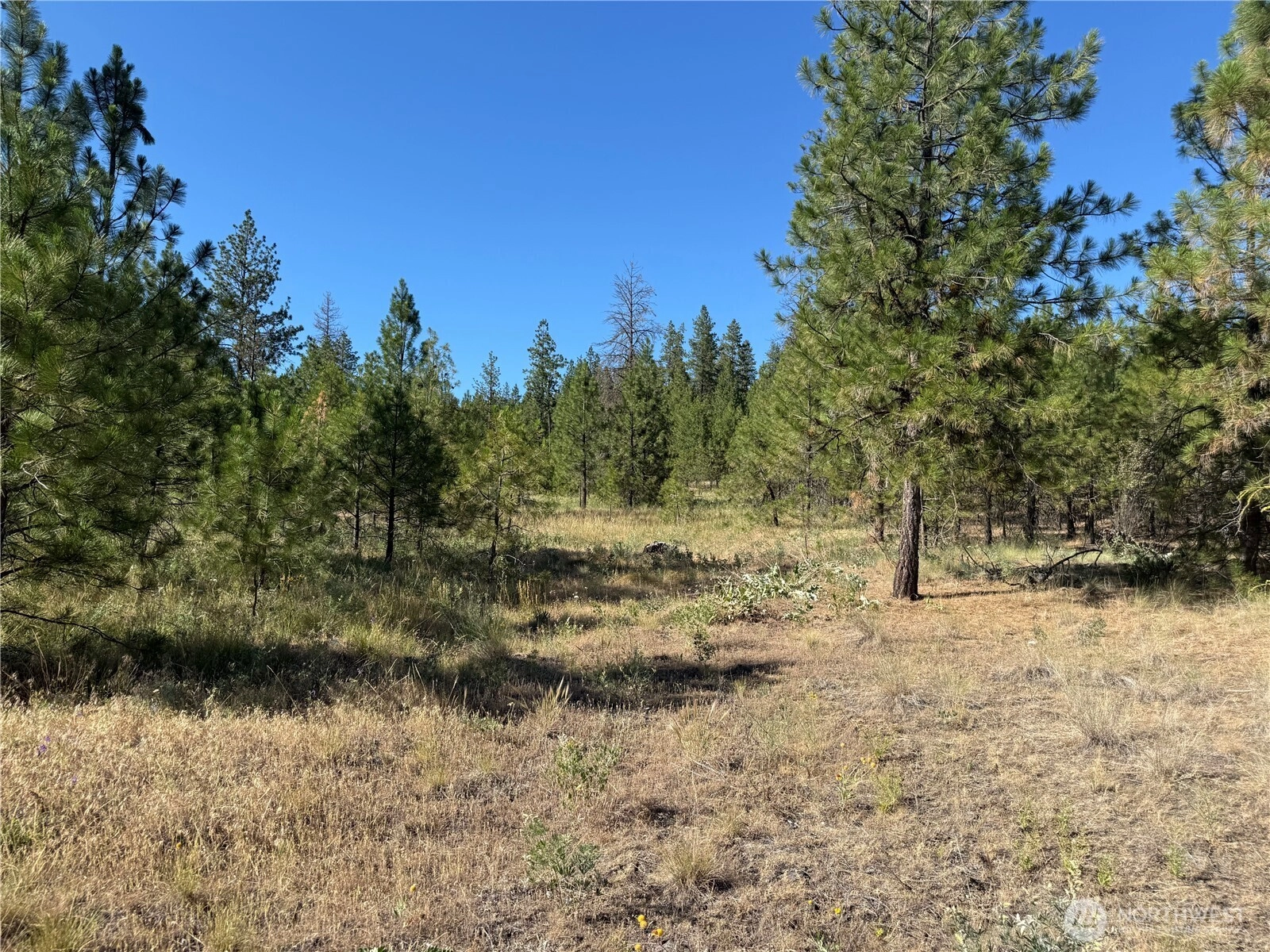 Tbd Davenport WA 99122