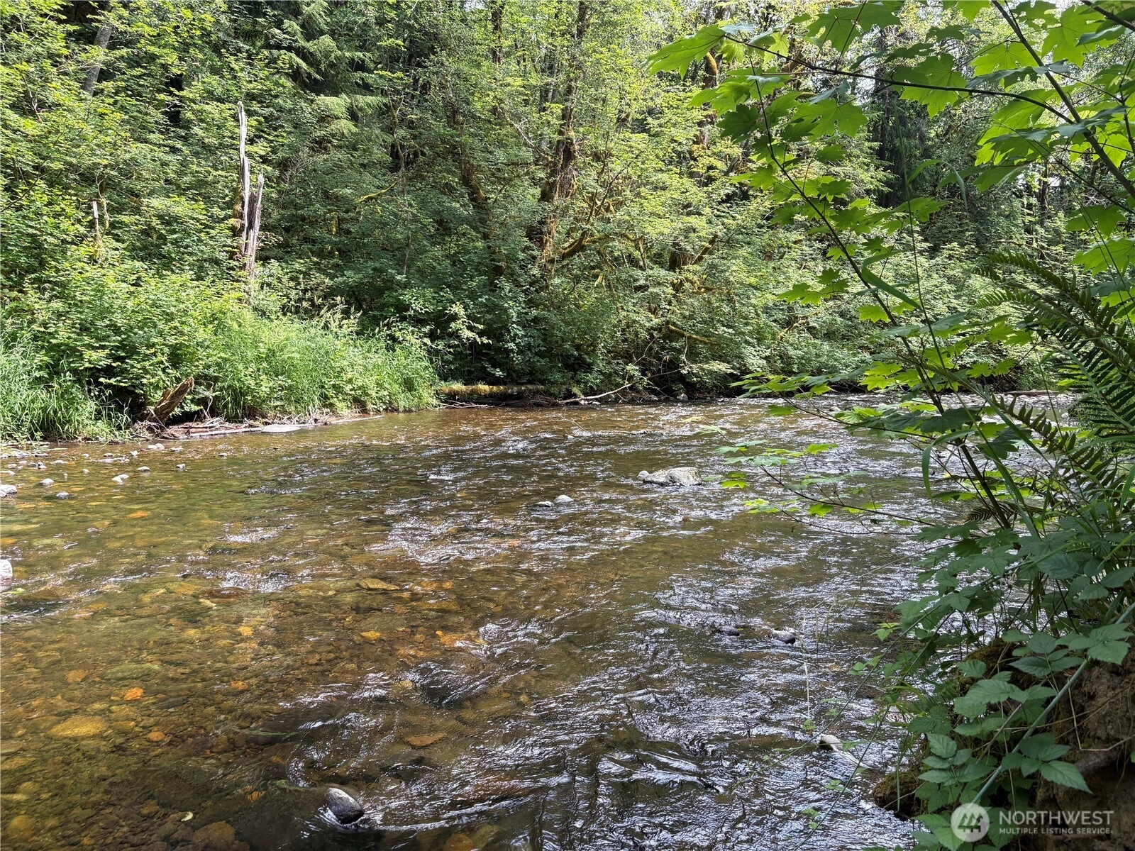 Pigeon Springs Rd Onalaska WA 98570