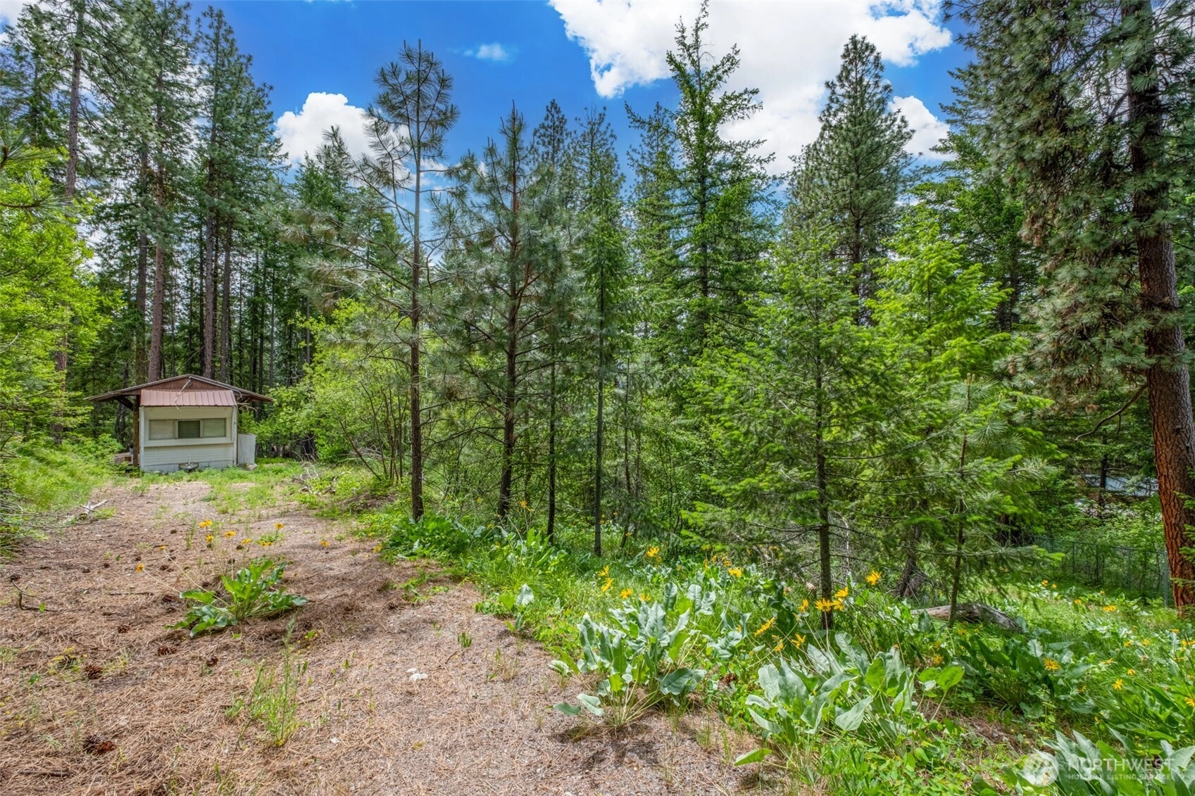 22124 Appaloosa Ln Leavenworth WA 98826