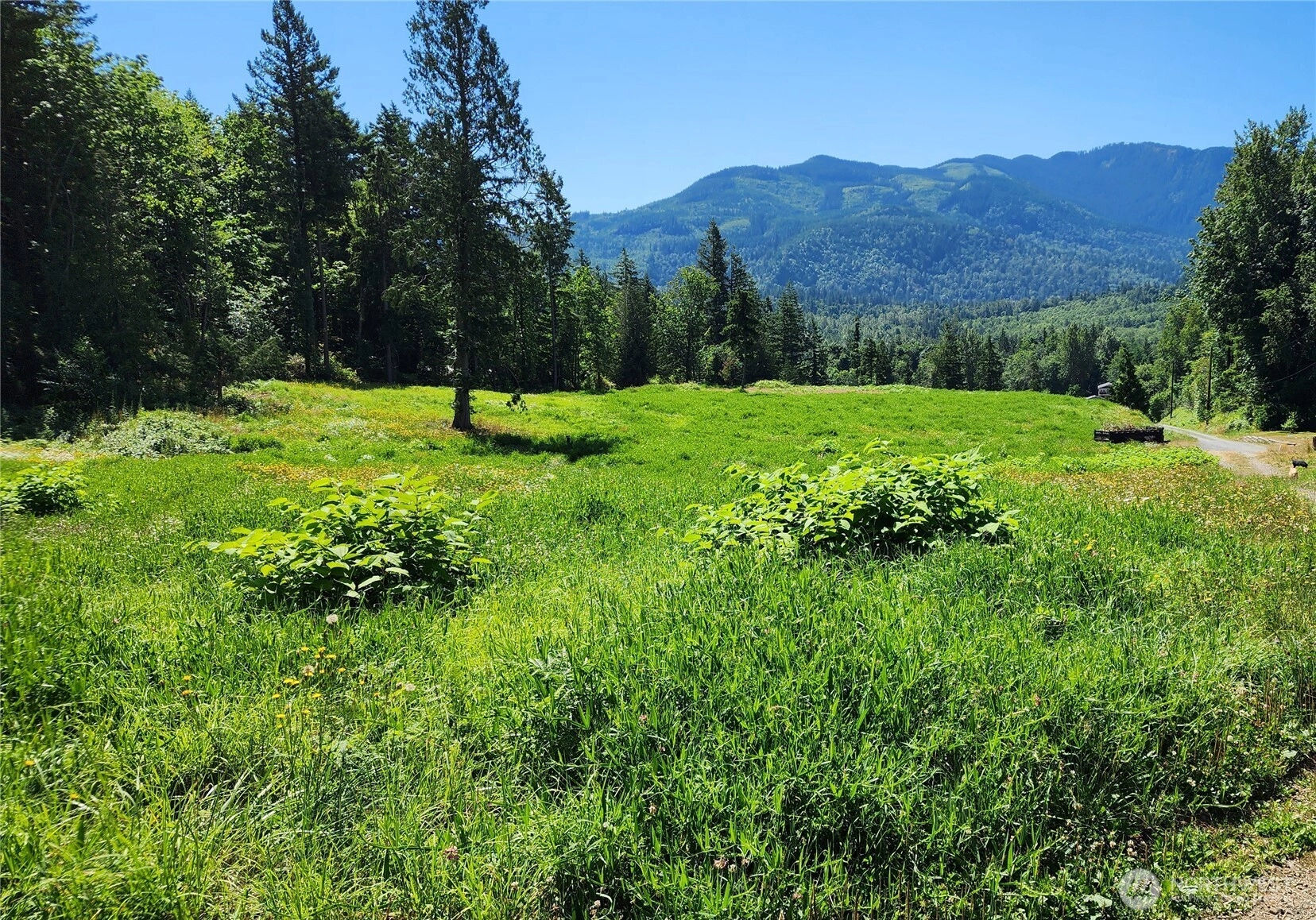 Reese Hill Rd Sumas WA 98295