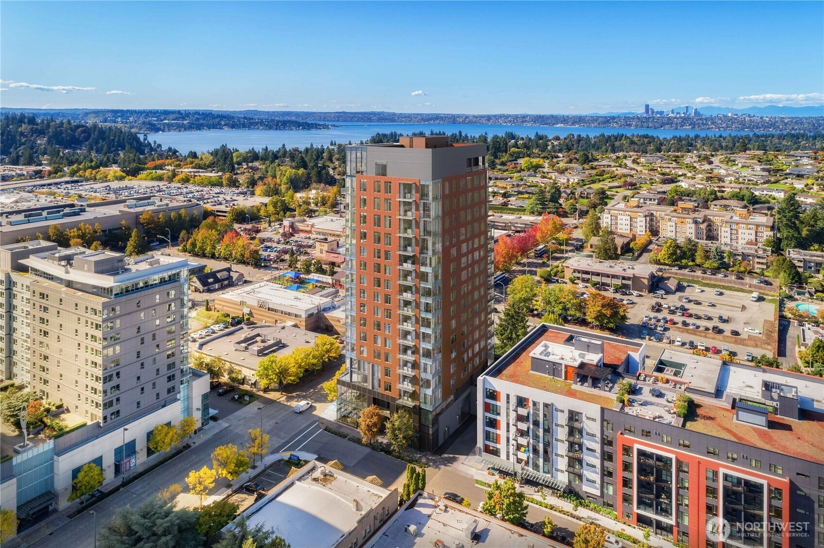 10232 NE 10th St Unit 1207 Unit 1207 Bellevue WA 98004