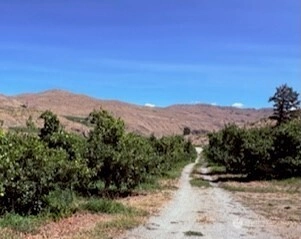 Hwy 153 Pateros WA 98846