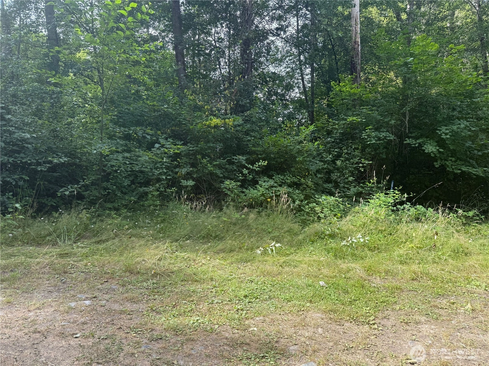 6810 325th St Ct S Roy WA 98580
