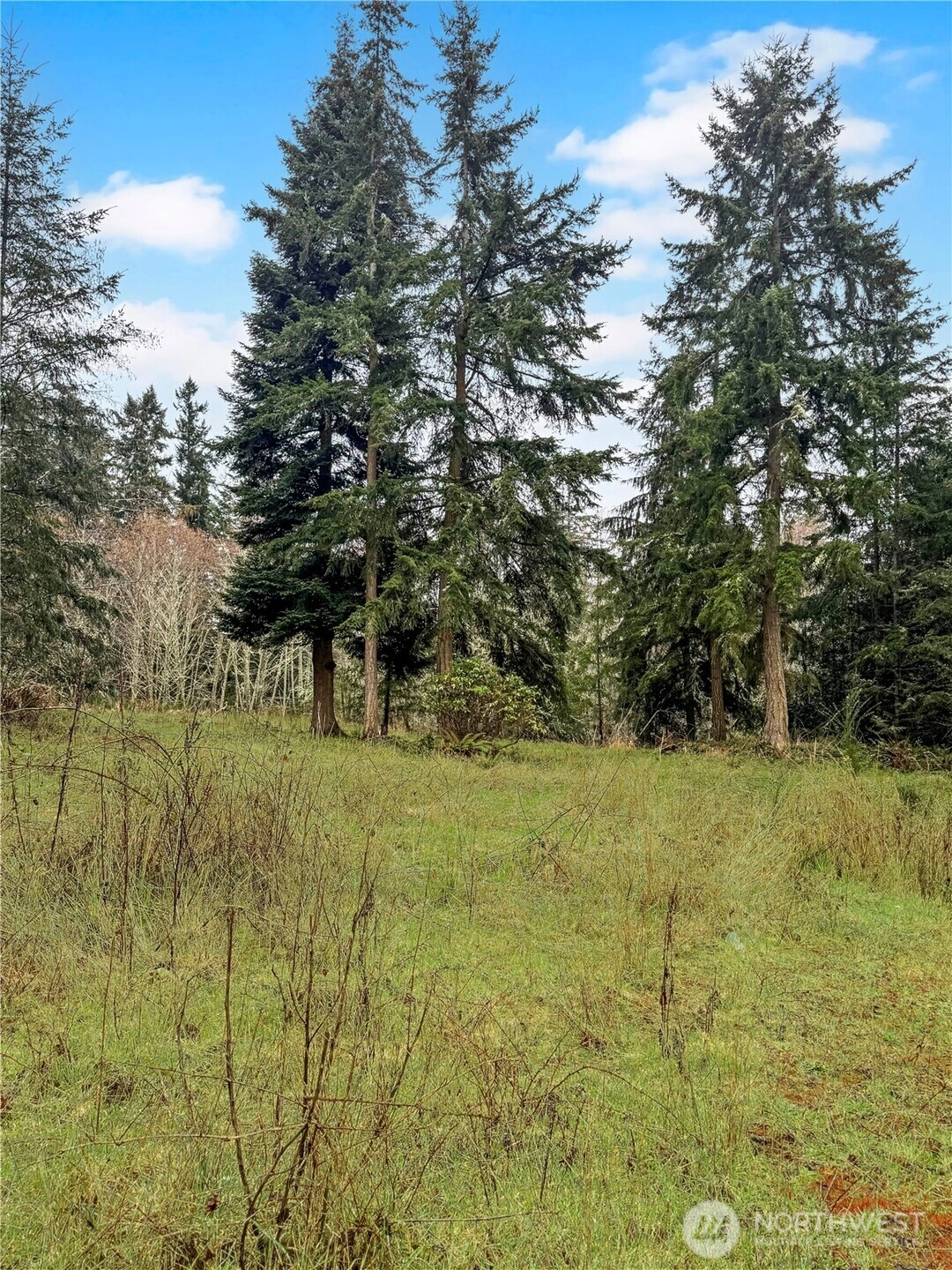 Prospect Ave Port Townsend WA 98368