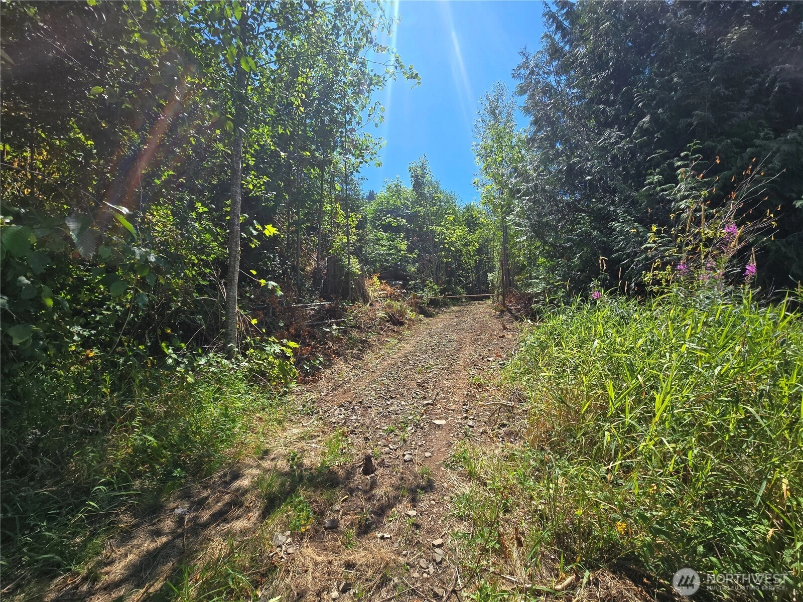 0 0 Highland Valley Rd Morton WA 98356