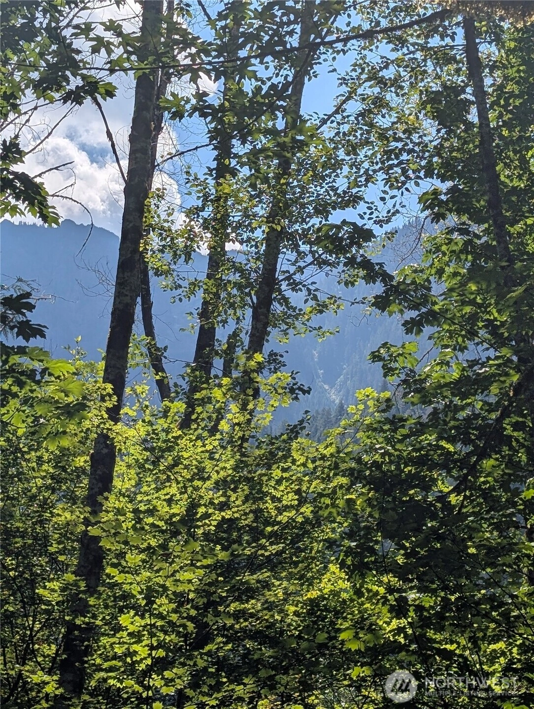 Clear Creek Rd Unit  Darrington WA 98241