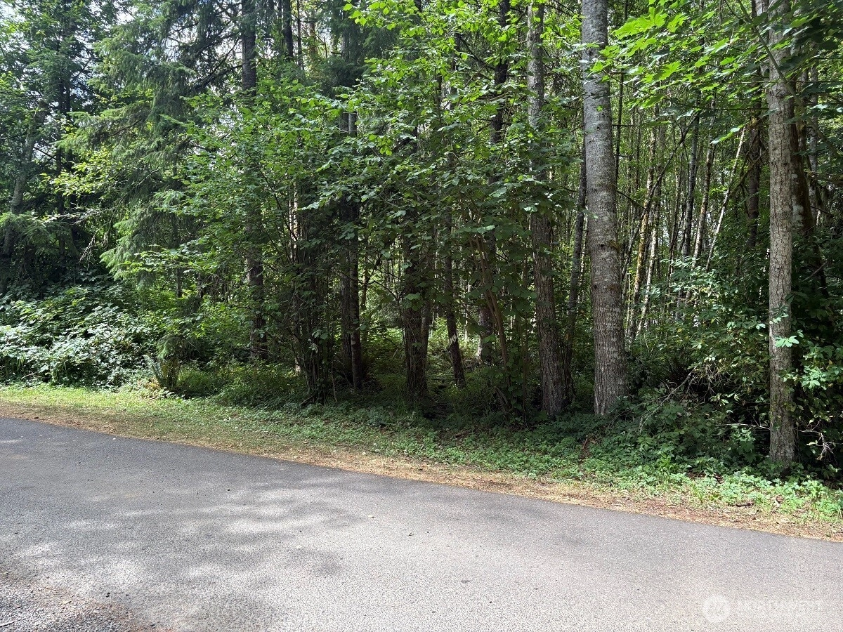 Harmony Ln Mossyrock WA 98564