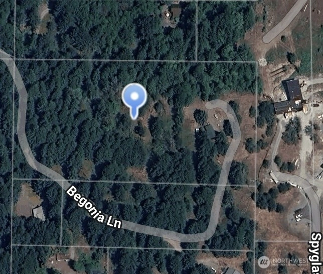 149 Begonia Ln Packwood WA 98361