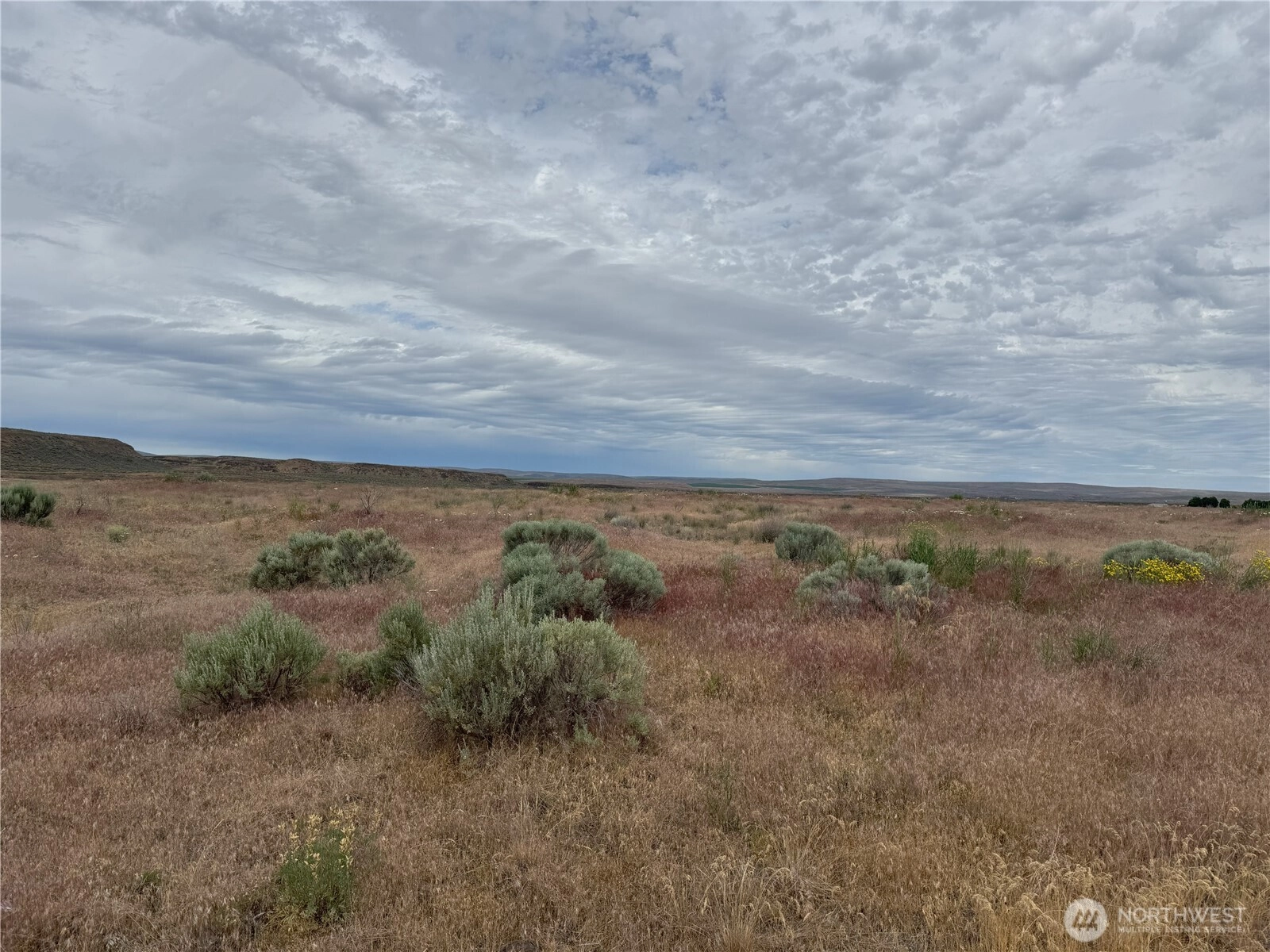 21366 Road D-5 NE Unit  Soap Lake WA 98851
