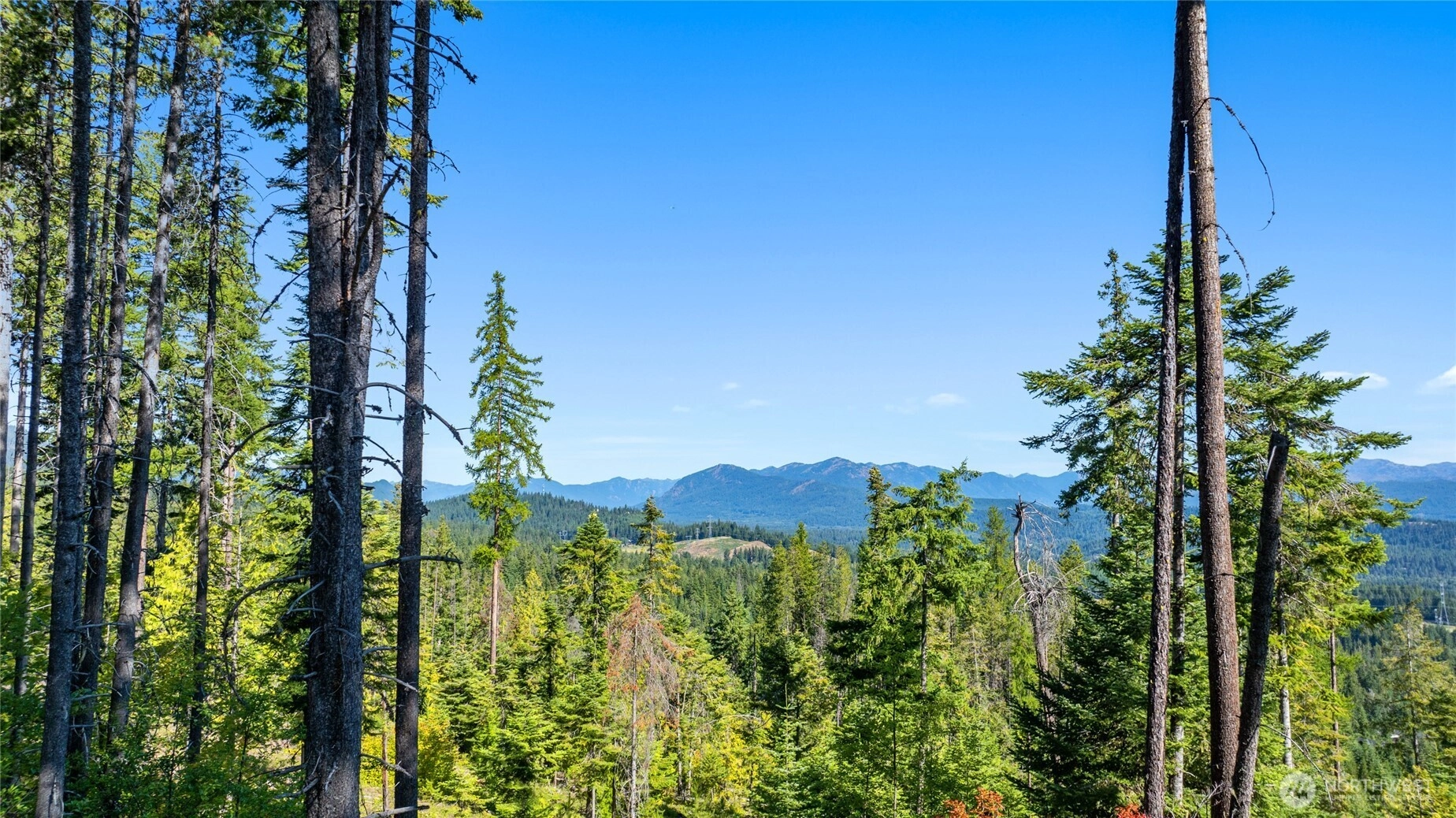 991 Trailside Dr Unit  Cle Elum WA 98922