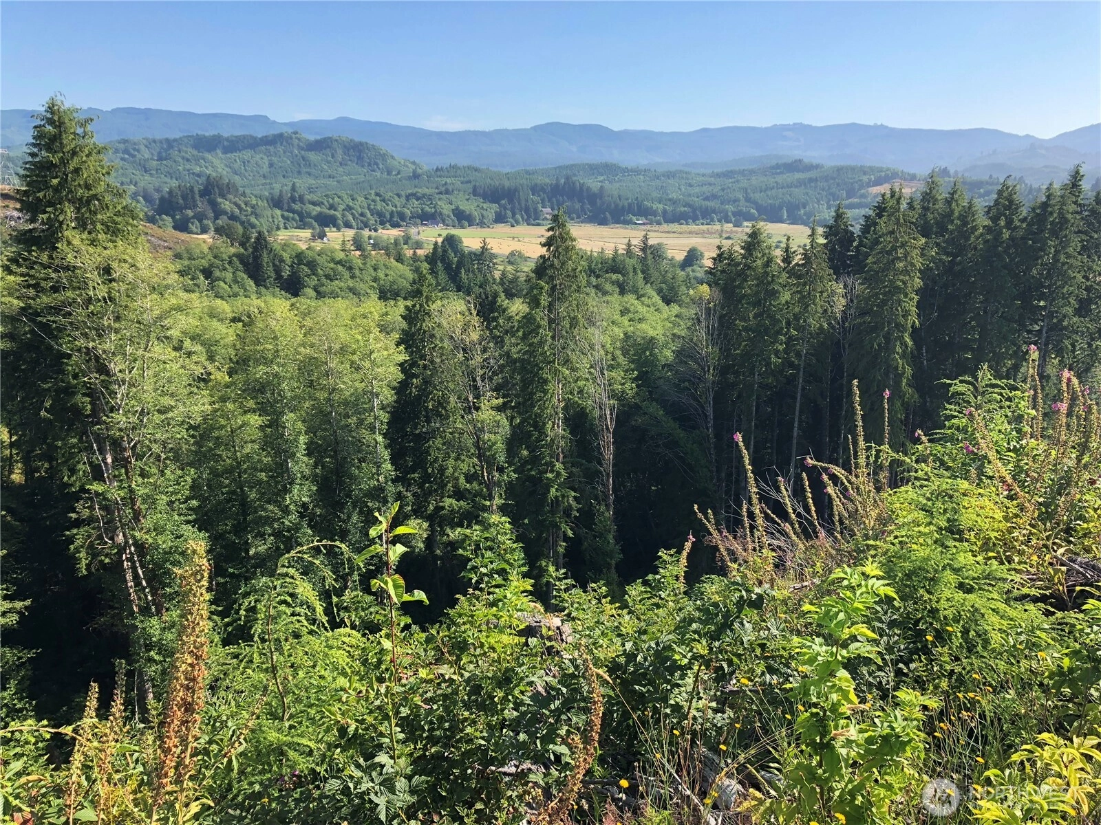 0 Lot B State Route 4 Hwy Unit  Skamokawa WA 98674